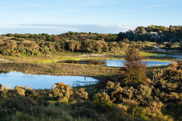 Landscape at Meijendel