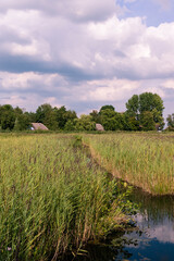 Obraz premium Landscape at Nationaal Park de Weerribben in summer