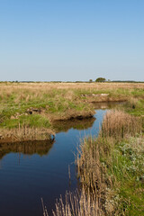 Obraz premium Landschap op Schiermonnikoog, Landscape at Schiermonnikoog
