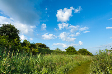 Landscape at Groene Strand