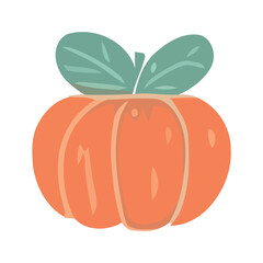 Fresh organic pumpkin, symbol of healthy eating