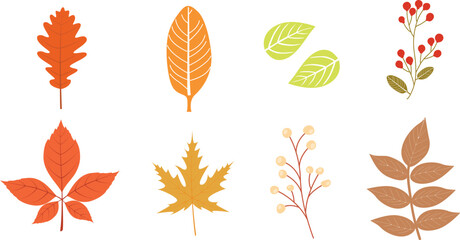 autumn leaves set, isolated on white background. simple flat cartoon style
