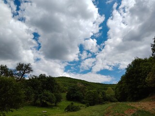 clouds over the forest