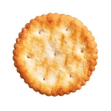  Delicious single salty biscuit over isolated white background