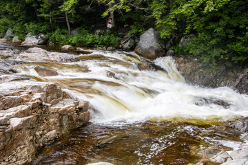 Fototapeta premium water running over rocks in a forest