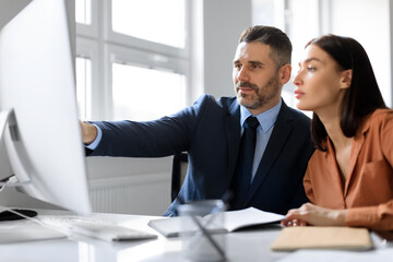 Professionals european woman and man financial accountant and manager working in office, looking at computer screen