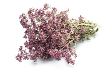 Origanum vulgare herbs isolated on white