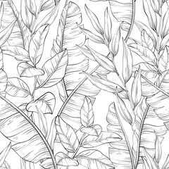 Black and white pattern, tropical banana leaves