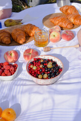 Red and blues berries on the white tablecloth, picnic on the nature
