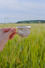 hand holding cup in fornt of green wheat field