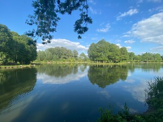 Lakescape, a beautiful lake in the United Kingdom in a sunny summer day