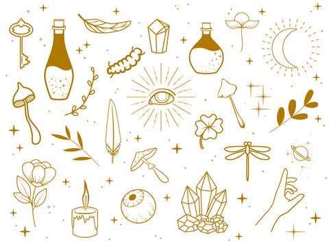 Collection of golden magic items. Feathers, plants, eyes, stars, poison bottles, mushrooms, candle, insects, etc. Illustration on transparent background