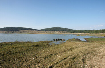 Seben Lake in Bolu, Turkey