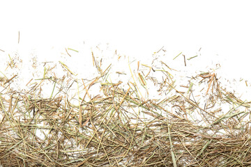 Straw scattered on white background