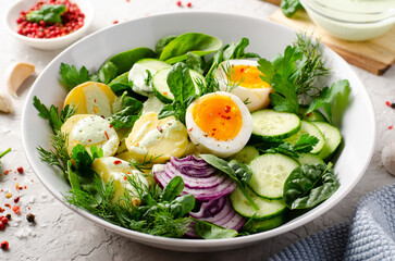 Green Buddha Bowl with Fresh Herbs and Vegetables, Healthy Balanced Meal, Bowl or Salad with Young Potatoes, Cucumber, Lettuce, Egg and Herb Dressing