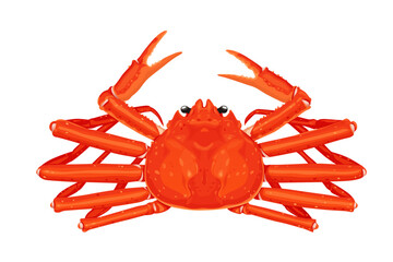 Snow crab Vector eps 10. background, perfect for wallpaper or design elements
