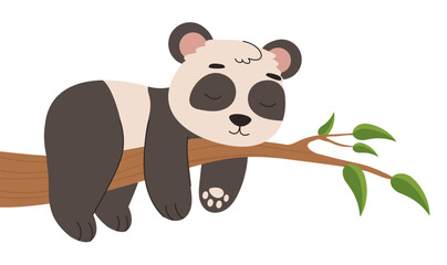 Fototapeta premium Cute panda on branch concept