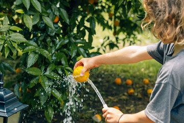 Child boy washes an orange with water from a hose in the garden to eat fresh fruit from the tree.