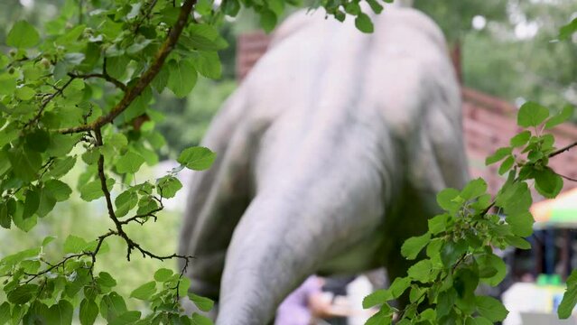 different species of animatronic dinosaur in park.roaring dinos close up head, scary artificial sculpture. Happy dino day.kid child boy holding claw,cute baby in garden 4k