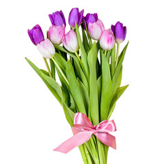 Bouquet of bright color tulips decorated with ribbon isolated. Top view, copy space. Isolated flowers with pink bow, spring tulips