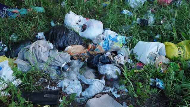 people pollute the environment, garbage in the forest 4k slow motion