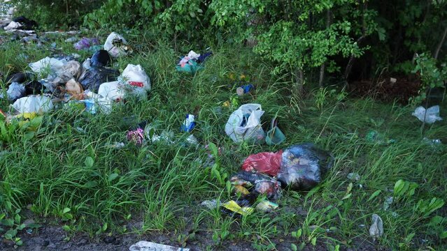 people pollute the environment, garbage in the forest 4k slow motion