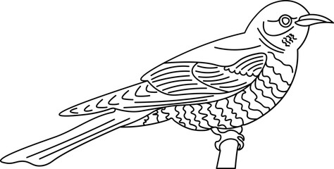 Cuckoo Bird Outline Illustration
