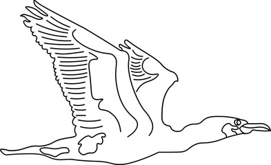 Flying Bird Outline Illustration
