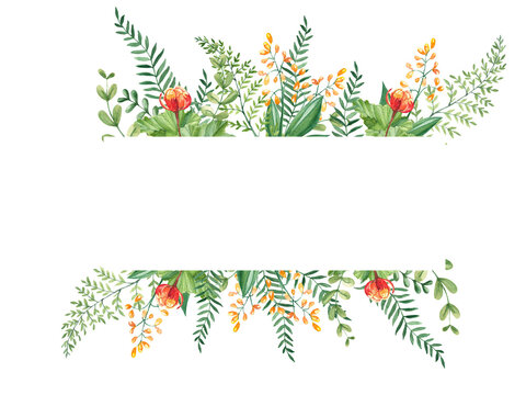 Watercolor floral horizontal frame. Cloudberry leaves and berries, fern, green branches, yellow wildflowers. Can be used for greeting cards, baby shower, banners, blog templates, logos and cosmetic