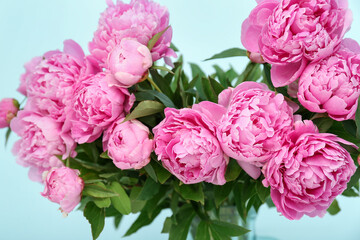 Bouquet of pink peonies on blue background