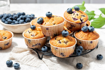 Healthy blueberry muffins with fresh berries
