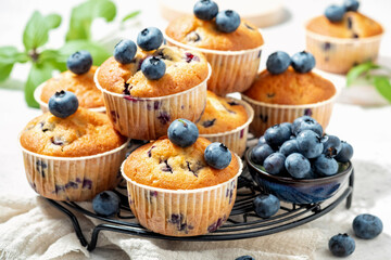 Healthy blueberry muffins with fresh berries