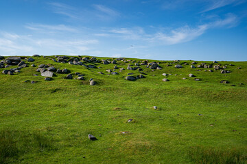 une colline verte avec des rochers éparpillées , sur fond de ciel bleu