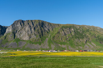 un village au pied d'une montagne avec un champs jaune en premier plan