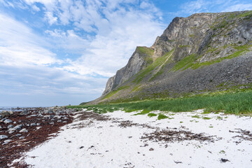 une plage de sable blanc couverte d'algues au pied de falaises verte
