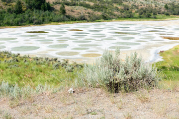 Osoyoos Spotted Lake, Osoyoos, Okanagan Valley, British Columbia