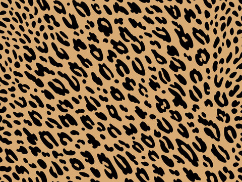 Leopard Skin Texture