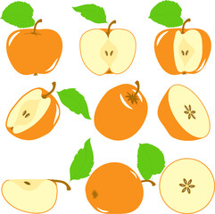 Orange color apples slices, collection of vector illustrations on a transparent background
