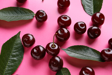 Many sweet cherries and leaves on pink background
