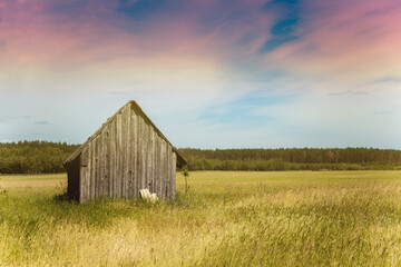 Old village house in a field. Cabin in the country