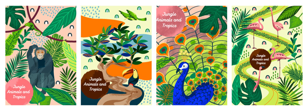 Tropical jungle poster set. Banners with flamingo and peacock, hummingbird and toucan, monkey and chameleon. Cover with foliage and plants, exotic birds and animal. Cartoon flat vector illustrations