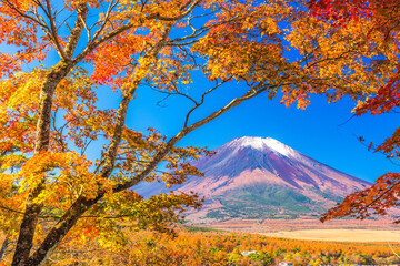Mt. Fuji, Japan from Yamanaka Lake in autumn.