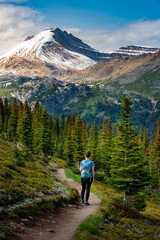 Naklejka na ściany i meble Backpacker woman on a hiking trail to Cirque Peak via Helen Lake, Alberta Canada Banff National Park