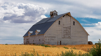 Obraz premium old barn in the field