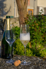 Tasting of premier cru sparkling white wine with bubbles champagne with view on old houses of...