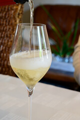 Tasting of grand cru sparkling white wine with bubbles champagne by old champagne house in grand cru wine producer small village Ambonnay, Champagne, France