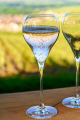 Tasting of premier cru sparkling white wine with bubbles champagne with view on green pinot noir, meunier vineyards of Hautvillers and valley of Marne river, France.