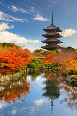 Kyoto, Japan at Toji Pagoda in autumn.