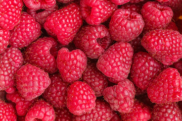 Background made of many fresh red raspberries