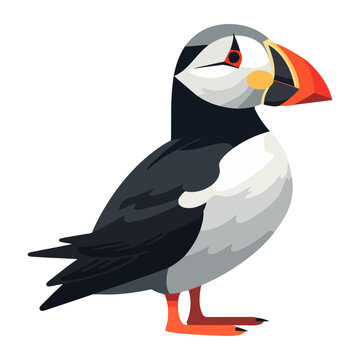 Cute puffin bird, vector isolated